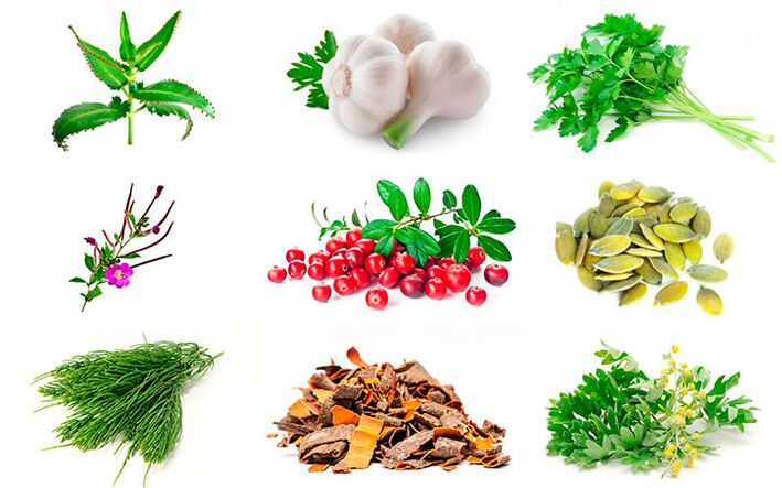 Hausmittel zur Behandlung von Prostatitis